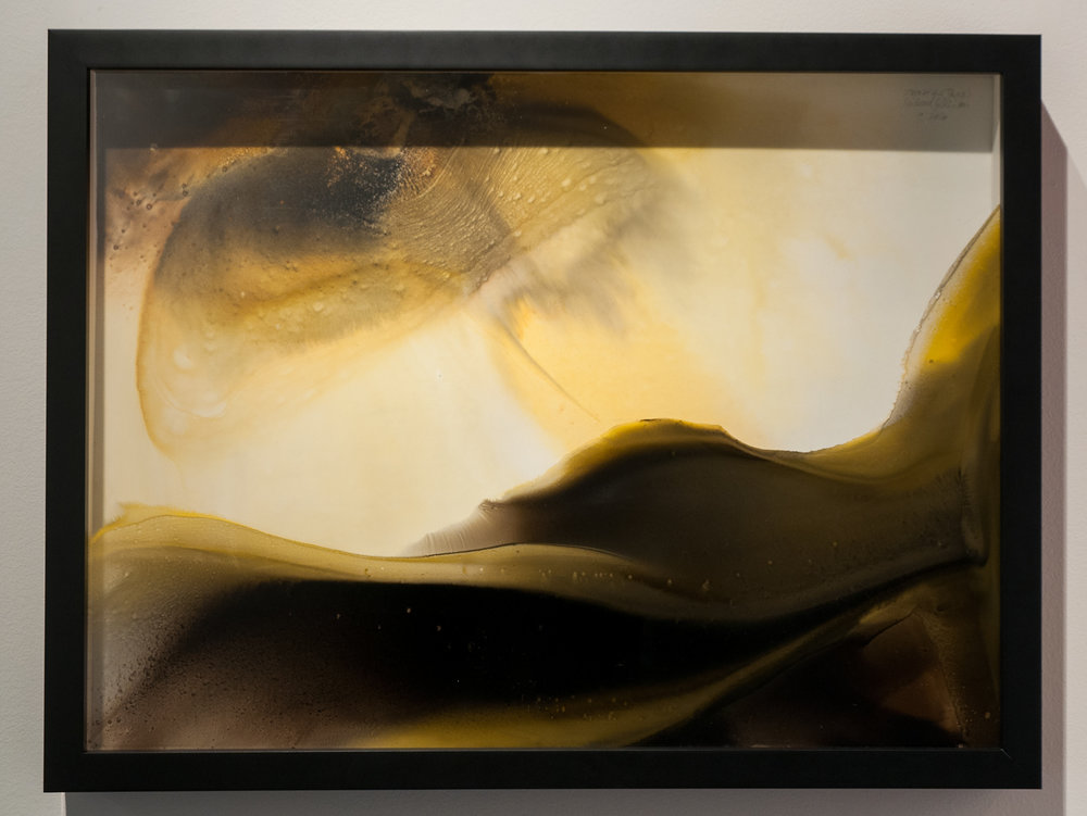 1000x751 Elliston Roshi Kai Lin Art