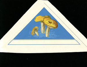300x232 Mongolia 1978 Mushrooms Scott 1008 Preliminary Artwork Watercolor