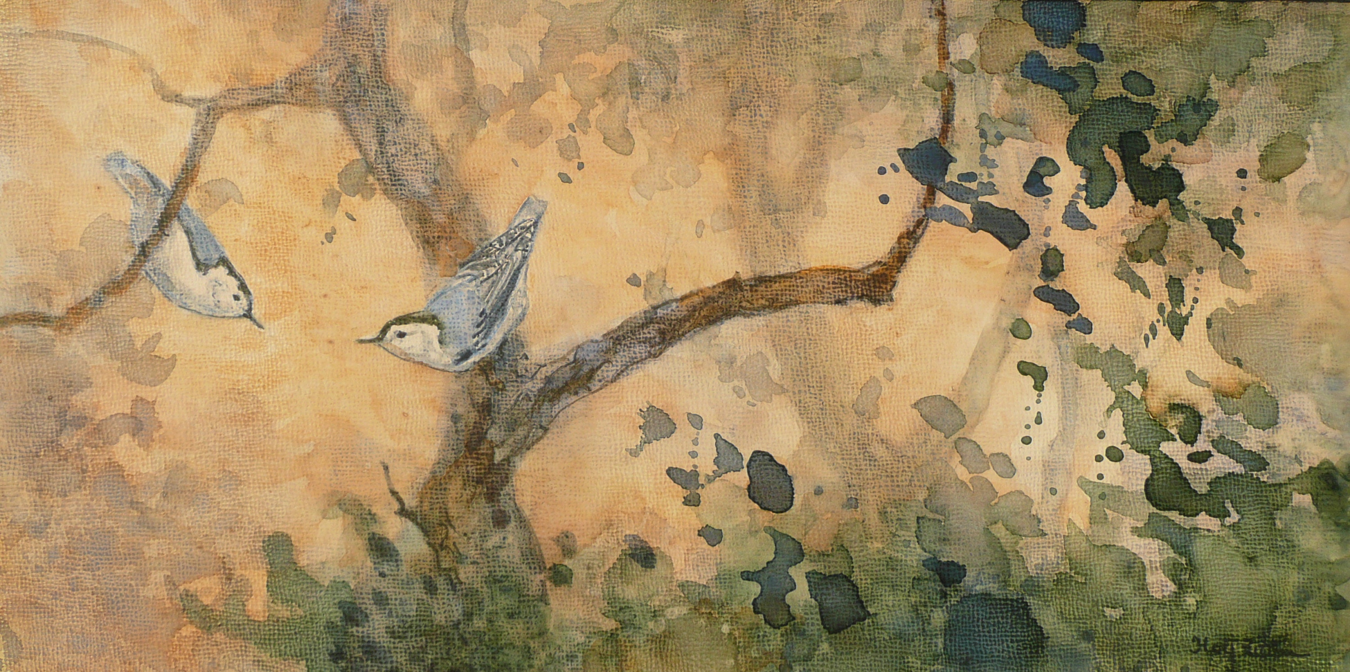 1950x971 White Breasted Nuthatches Floy Zittin Watercolors