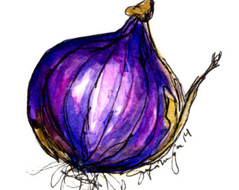 340x270 Onion Watercolor Etsy