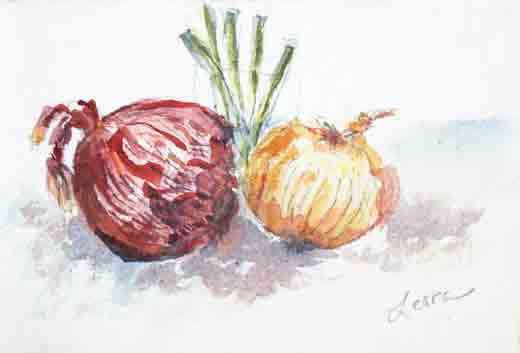 520x353 Onions Watercolor, Colored Pencil