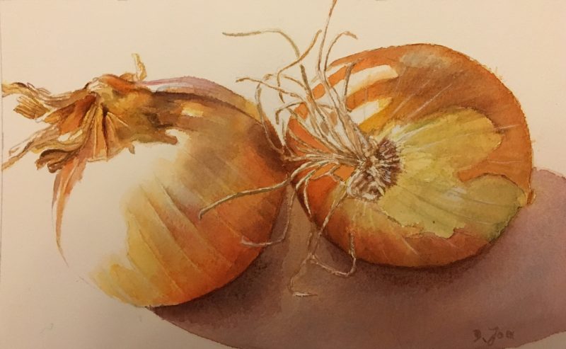 800x493 Onions In Watercolor