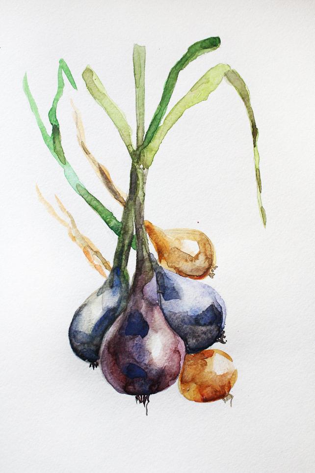 642x963 Original Watercolor Onion Onions Art Vegetables Watercolor Etsy