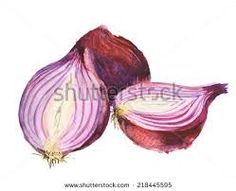 236x191 Watercolor Onion