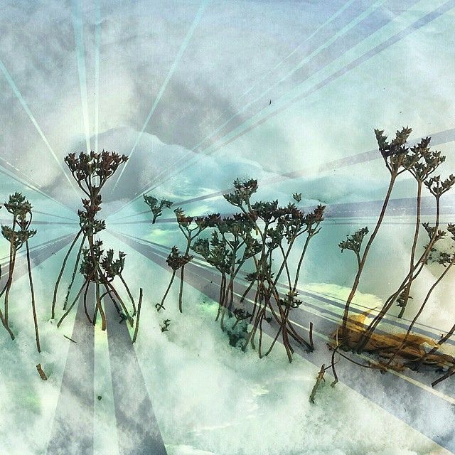 640x640 Photo Editor Online