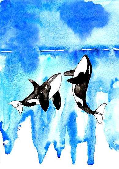 389x550 Orca, Watercolor Orca Posters By Rosaliartbook Redbubble
