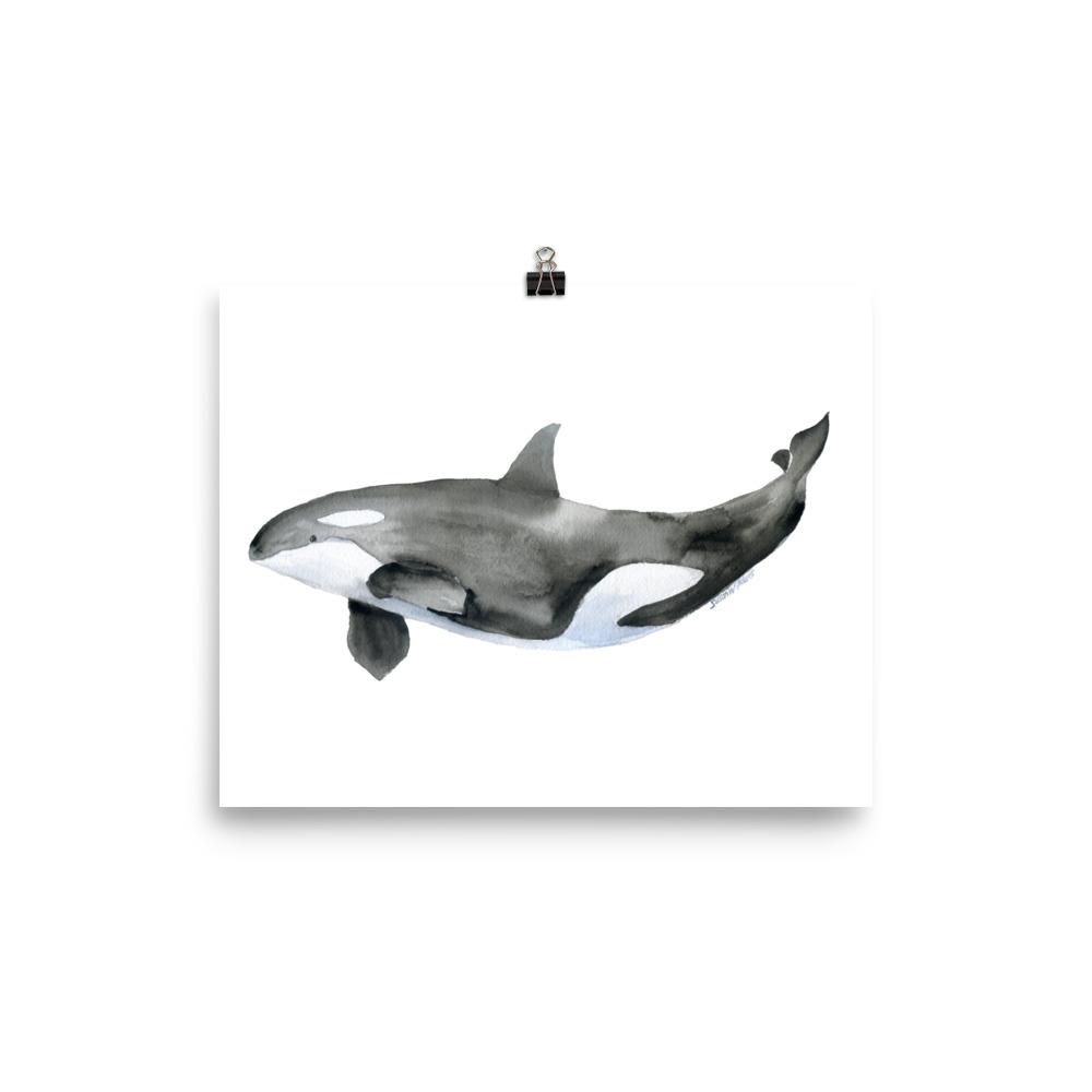 1000x1000 Orca Killer Whale Watercolor Susan Windsor