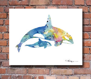 300x260 Orca And Baby Abstract Watercolor Painting Art Print By Artist Dj