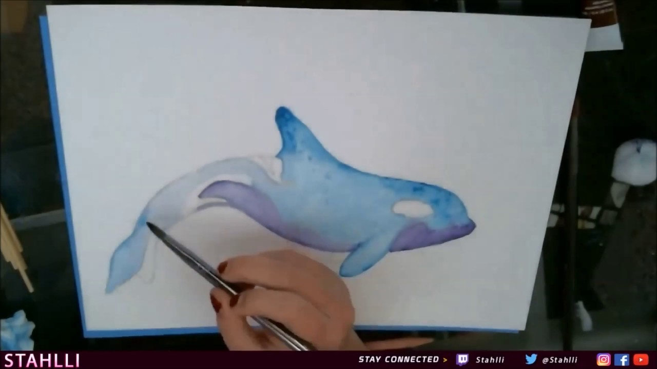 1280x720 Time Lapse Painting Orca In Watercolor