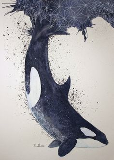 236x330 Watercolor Orca
