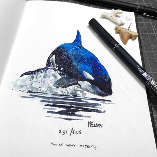 500x500 Watercolour Orca Tumblr