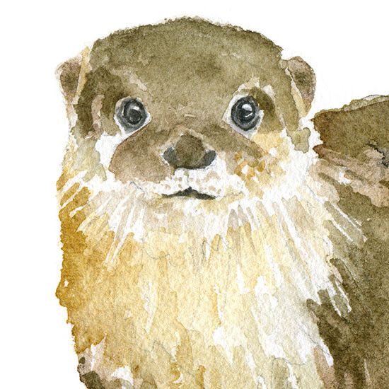 550x550 River Otter Watercolor Craft Ideas River Otter