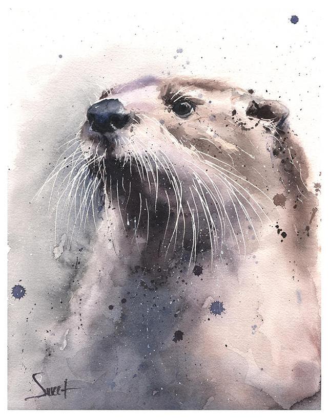 642x817 Sea Otter Print Otter Art Print Watercolor Otter Painting Etsy