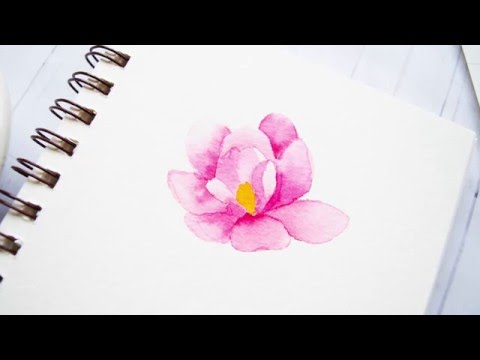 480x360 No Outline Watercoloring W Peerless Watercolor