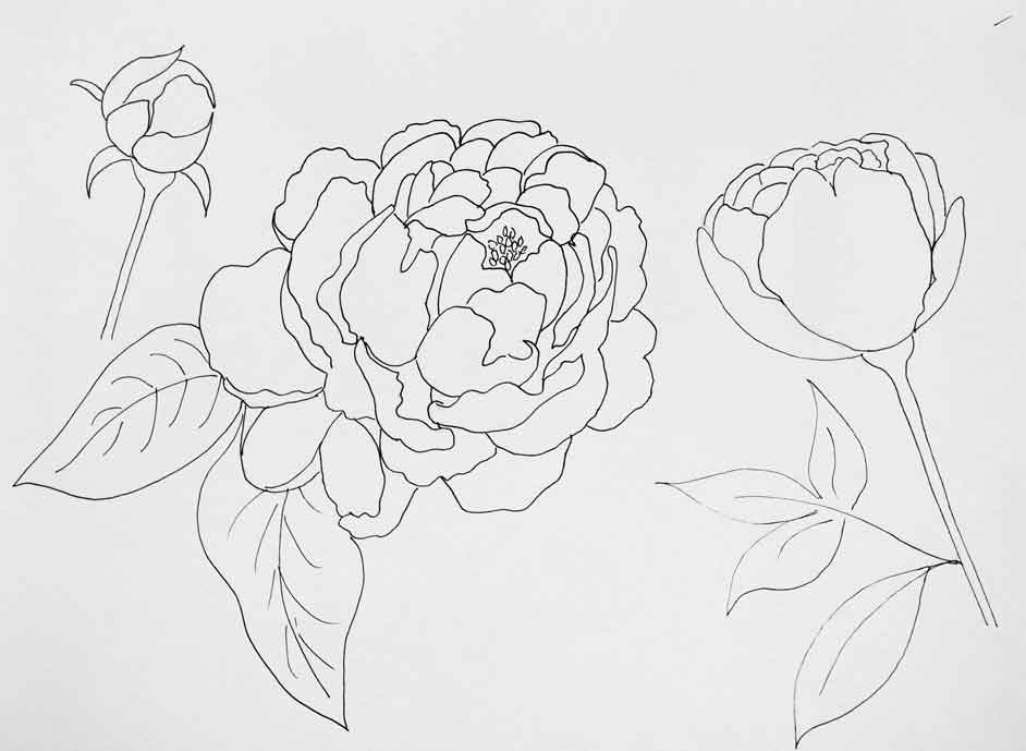 942x689 How To Paint Peonies With A Watercolor Effect