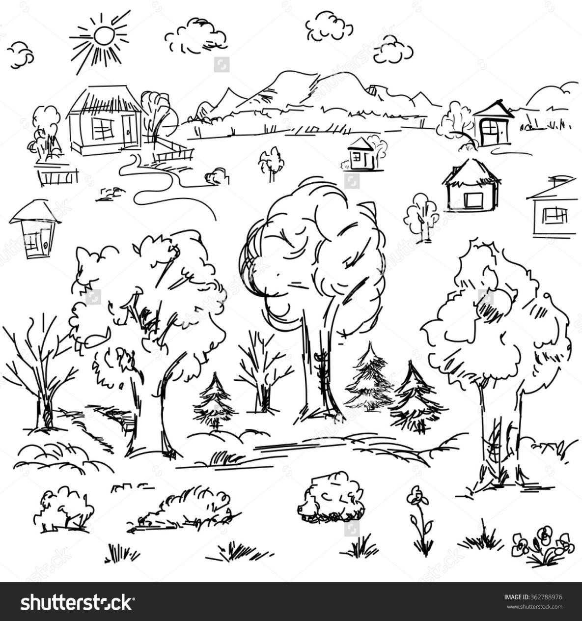 1185x1264 Of Nature Drawing For Children Kids Rhdrawingcollectioncom