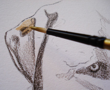 450x370 Mixed Media Tutorial Learn How To Combine Colored Pencils And