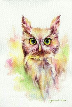 Watercolor Owl Painting
