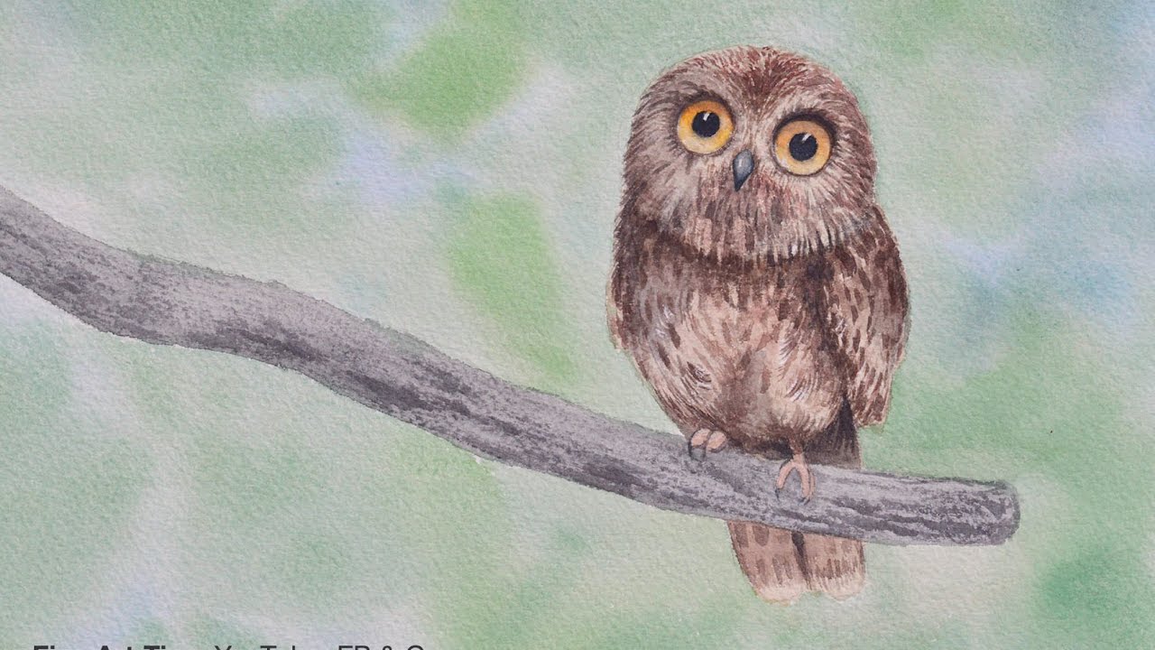 1280x720 How To Paint A Pygmy Owl With Watercolor
