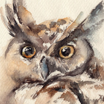 354x354 Owl Painting, Original Watercolor From Canotstop On Etsy
