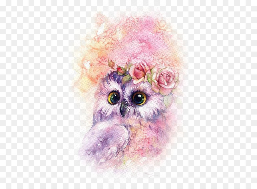 900x660 Owl Watercolor Painting Drawing Art
