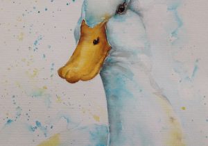300x210 Painting Wildlife In Watercolor Painting Wildlife In Watercolor