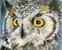 200x164 Stunning Owl Watercolor Painting Reproductions For Sale On Fine
