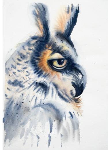 375x520 Watercolor Owl Painting By Olga Shefranov Saatchi Art