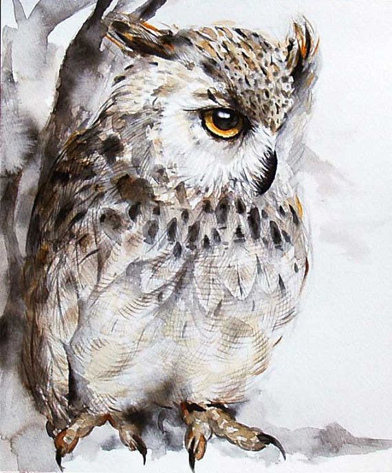570x688 Watercolor Owl Paintingowl Painting By Kuroninjin On Etsy Paint