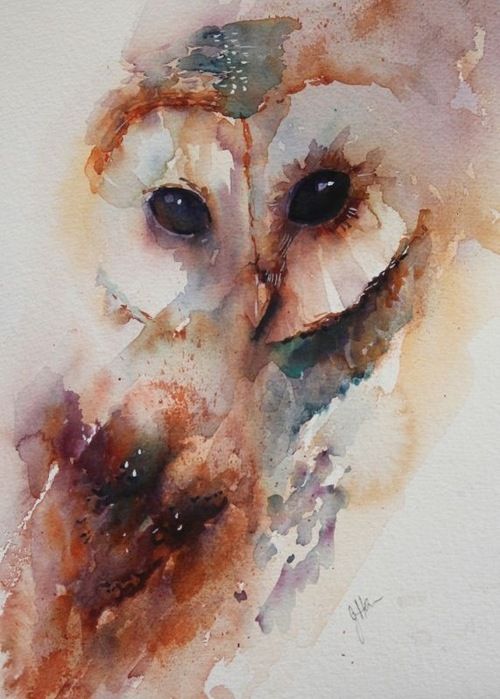 500x699 Watercolor Owl. So Beautifully Done Art Geek