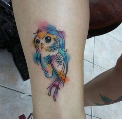495x480 Picture Of Watercolor Owl Tattoo