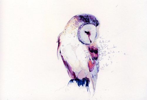 500x342 Watercolor Owl Tattoo Watercolor Owl Tattoos, Owl
