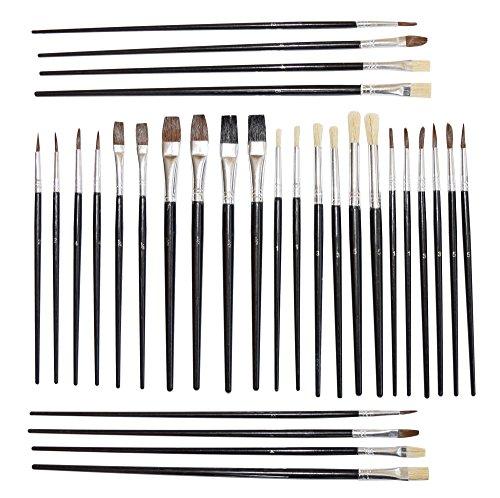 500x498 Set Of 30 Art Paint Brushes