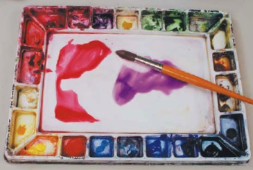365x246 Watercolor Palette Basics