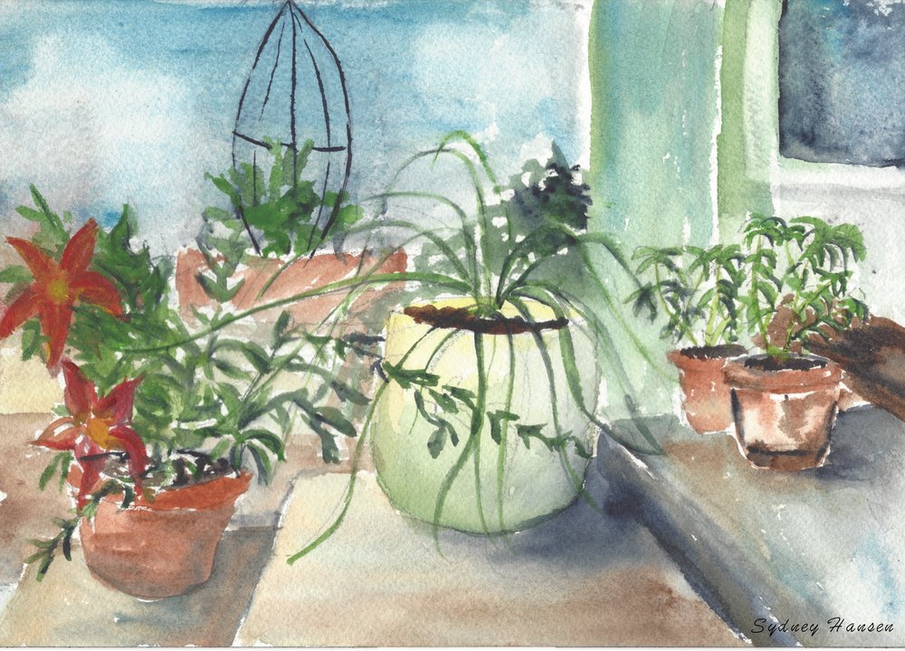 1000x720 Flower Pots On Steps Watercolor Print Peachy Paintings