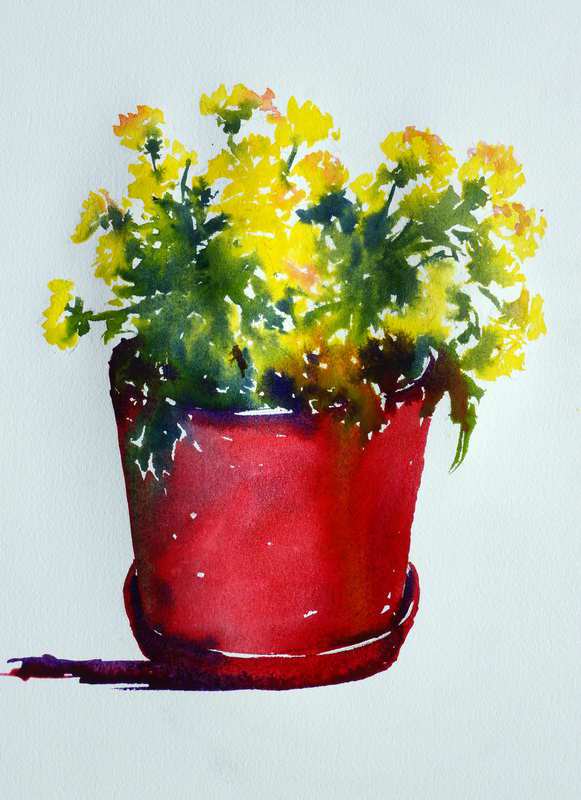 581x800 Watercolor Painting Chrysanthemums