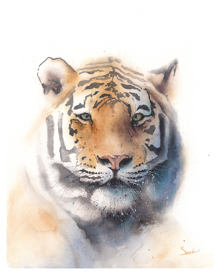 700x875 Tiger Watercolor Print Watercolor Animal Paintings