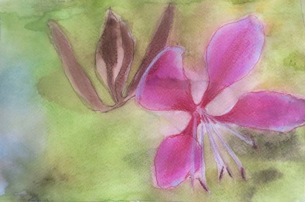 600x397 Sharpen Your Painting Skills With 4 Watercolor Pencil Techniques