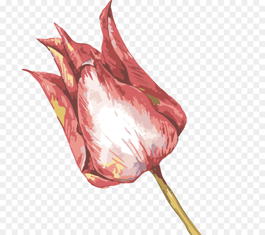 900x800 Watercolor Painting Oil Painting Illustration