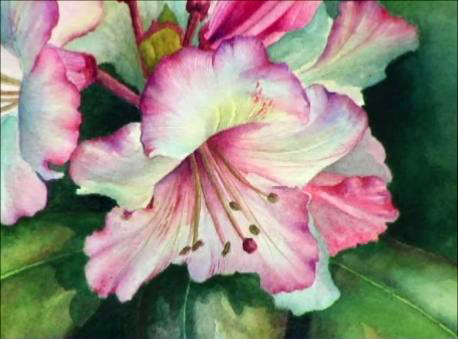 458x339 How To Paint Flowers In Watercolours