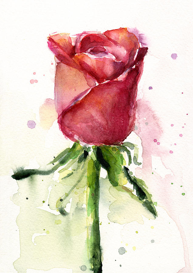 636x900 Rose Watercolor Painting By Olga Shvartsur