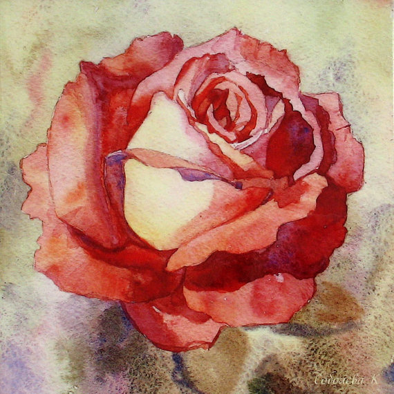 570x570 Watercolor Rose Pintura E Ideas Watercolor