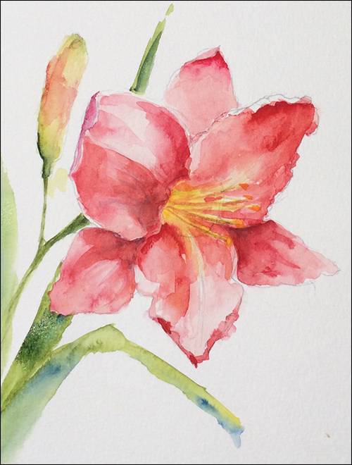 500x660 How To Paint Loose, Expressive Lilies In Watercolor