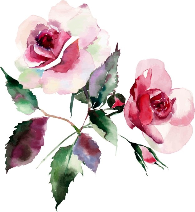 626x681 Watercolor Vectors, Photos And Psd Files Free Download