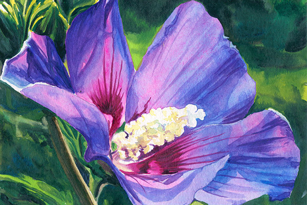 600x400 Watercolor Flowers Videos