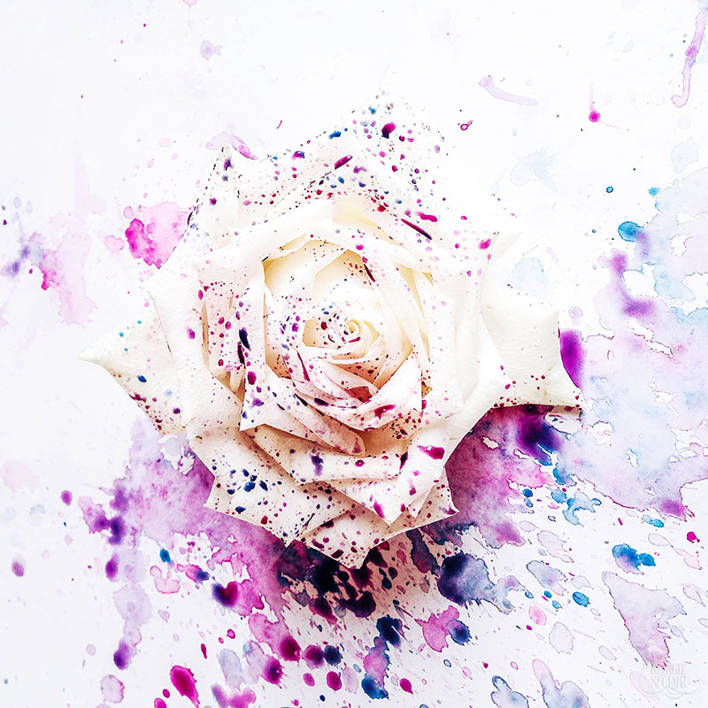 800x800 Watercolour Flower Painting That Oozes Dynamic Loveliness