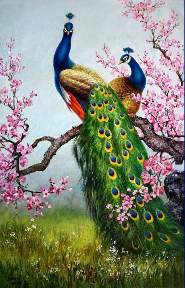643x1000 Art Print Animals Peacock Oil Painting Picture Printed On Canvas