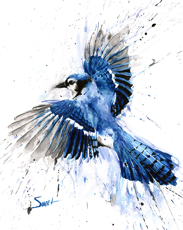 600x752 Blue Jay Watercolor Print Watercolor Animal Paintings