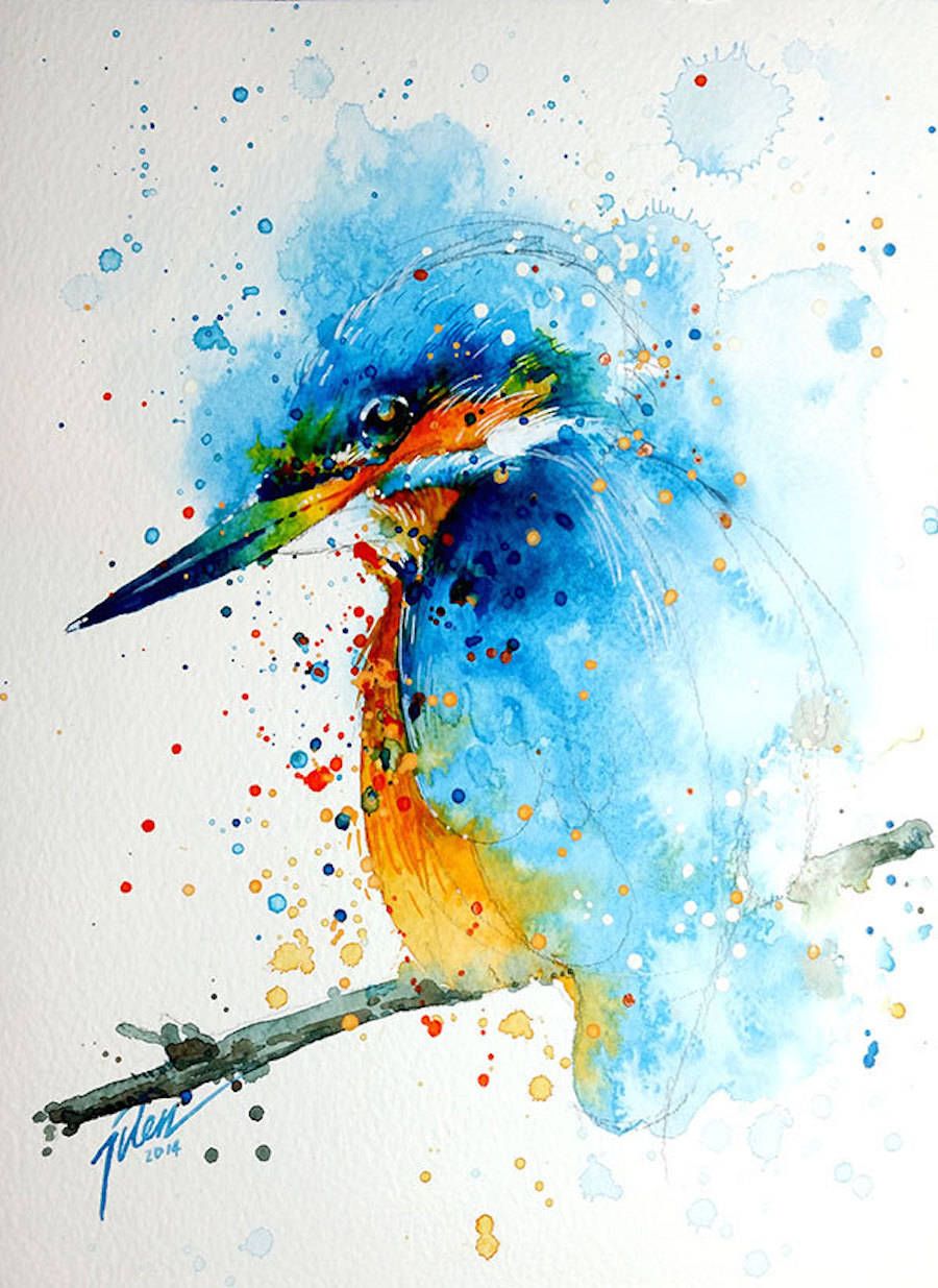 900x1235 Colorful Splashed Watercolor Animals Paintings Art