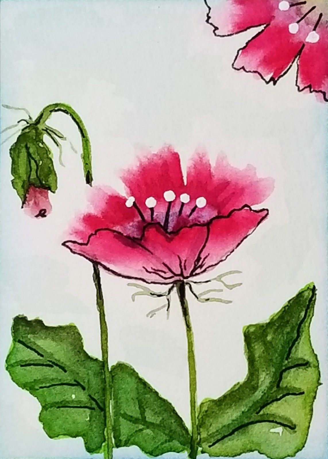 1142x1599 New Original Watercolor Aceo Painting Love My Poppy Art By